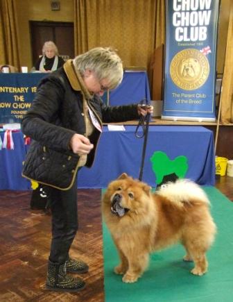 The Chow Chow Club